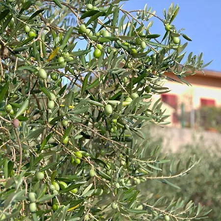 Casa Ciravolo
