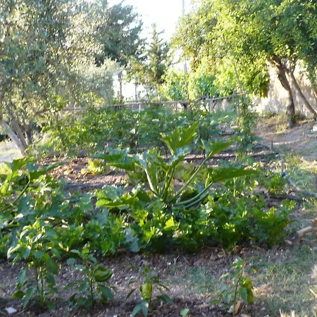 Casa Ciravolo Alloggio in famiglia